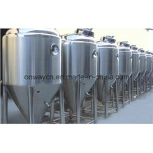 Bfo Stainless Steel Beer Beer Fermentation Equipment Acid Juice Fermenter